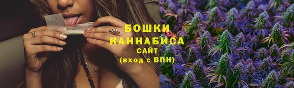 сатива Беломорск